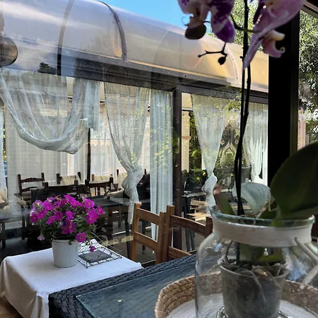 Hotel Euro House Airport