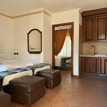 Euro House Airport 4*