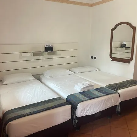 Hotel Euro House Airport 4*